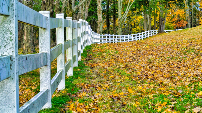 fence